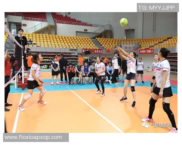 杭州排球队战术引发热议球迷与专家观点大碰撞