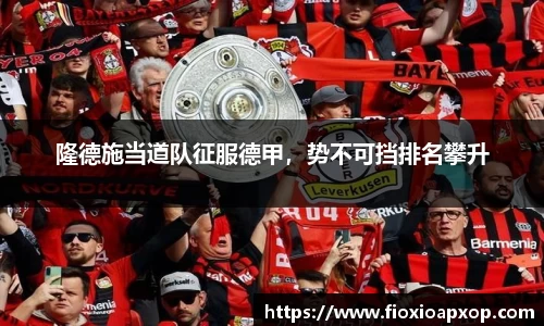 NG体育官方网站