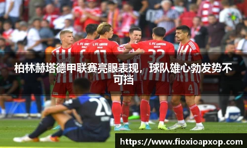 NG体育官网