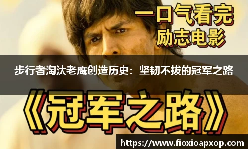 NG体育