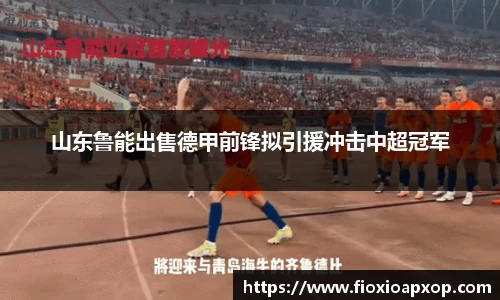 山东鲁能出售德甲前锋拟引援冲击中超冠军