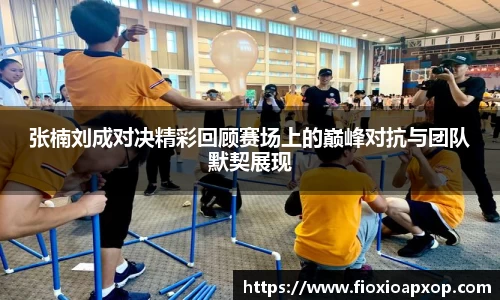张楠刘成对决精彩回顾赛场上的巅峰对抗与团队默契展现