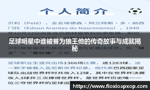 足球明星中谁被誉为狼王他的传奇故事与成就揭秘